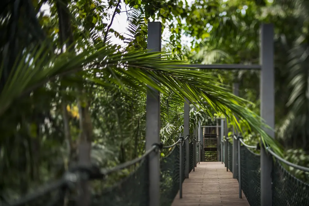 Damansara Foresta winning work